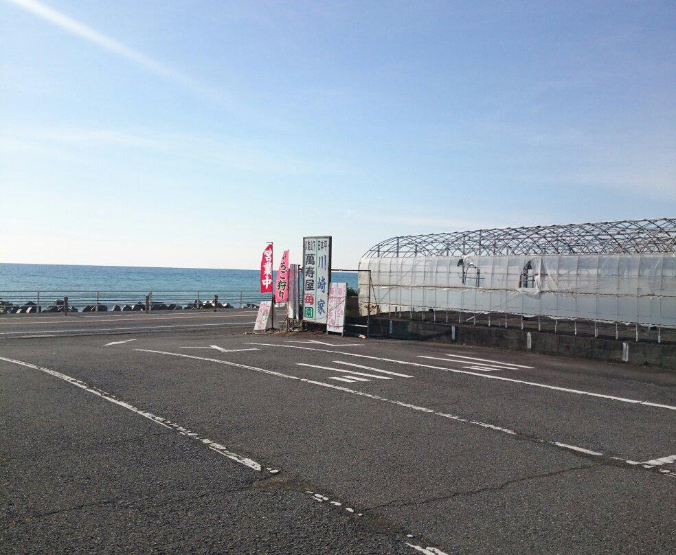 Ishigaki Strawberries景点图片
