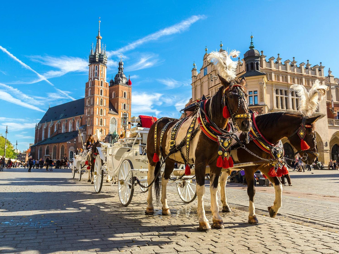 CometoKrakow. com - Tours & Transportation-克拉科夫必去景点
