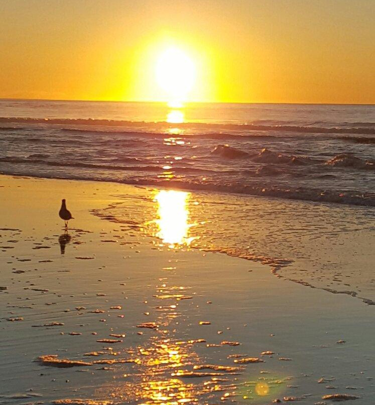 D River State Recreation Site-林肯城必去景点