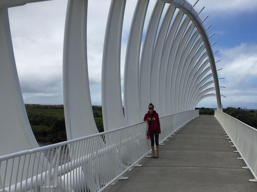 Te Rewa Rewa Bridge-新普利默斯必去景点