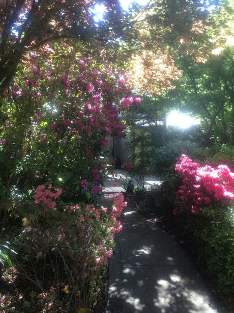 View Hill Holiday Units-酒店景观