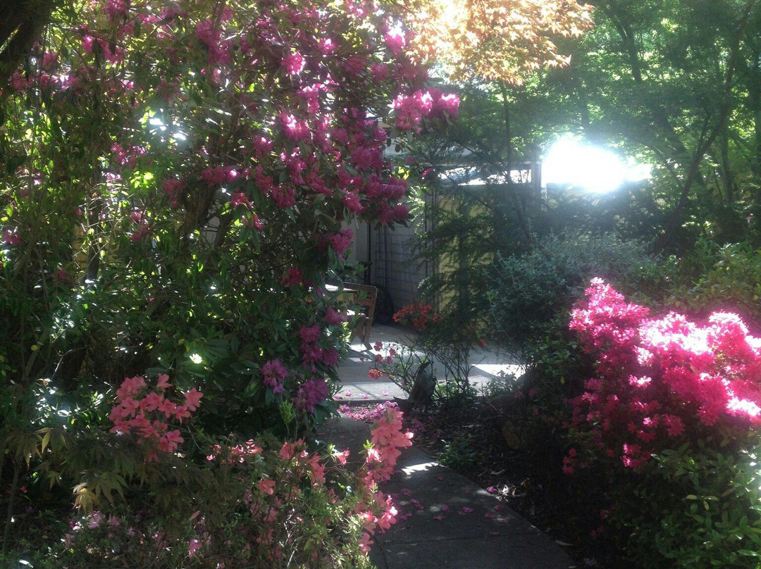 View Hill Holiday Units主图