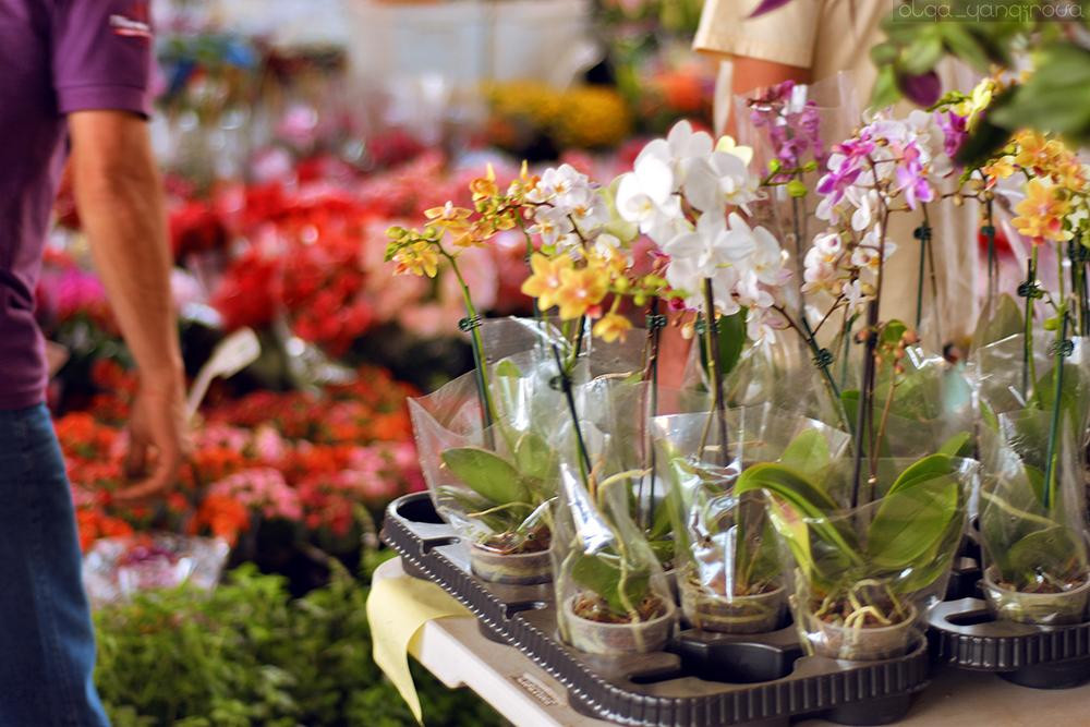 CEAGESP Sorocaba-索罗卡巴必去景点