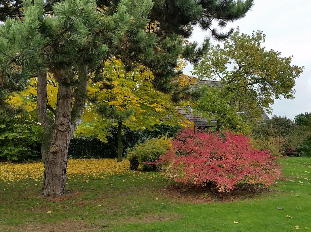 Stadtpark Uerdingen景点图片