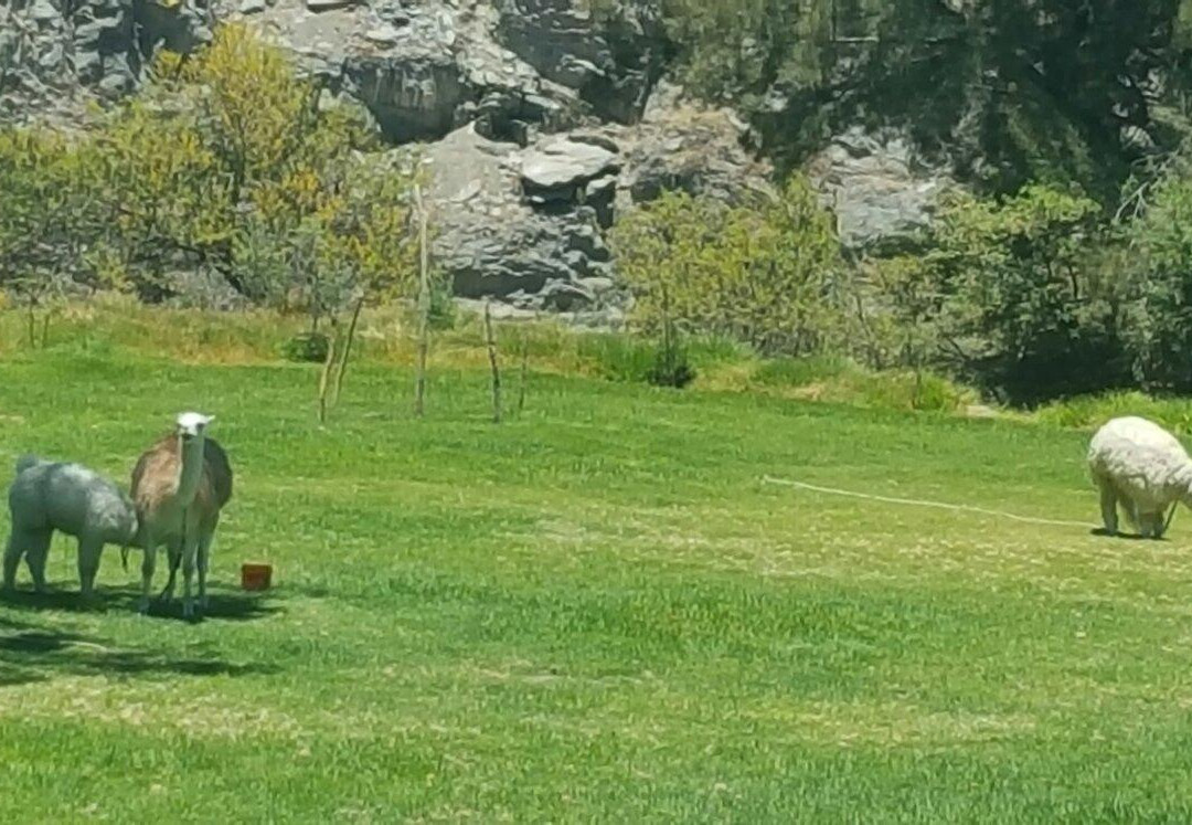 Willka Rumi EIRL主图