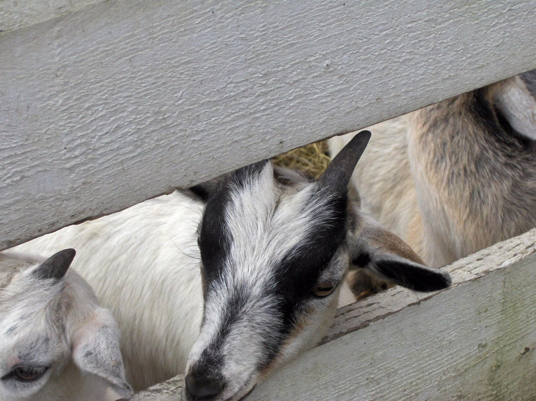 Retreat Farm-布拉特尔伯勒必去景点