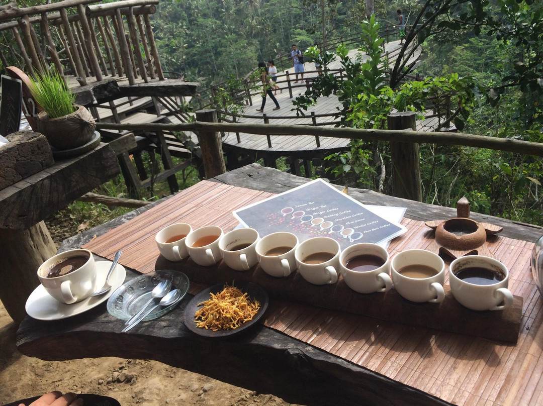 Bali Pulina Coffee Plantation-吉安雅必去景点