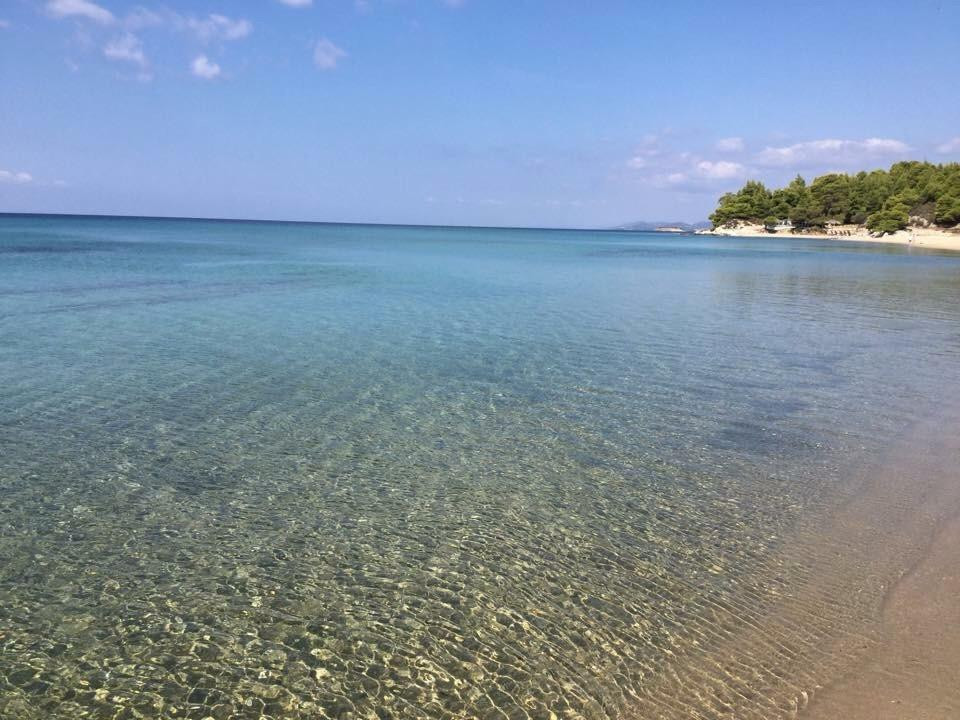 Kalogria Beach-Nikiti必去景点