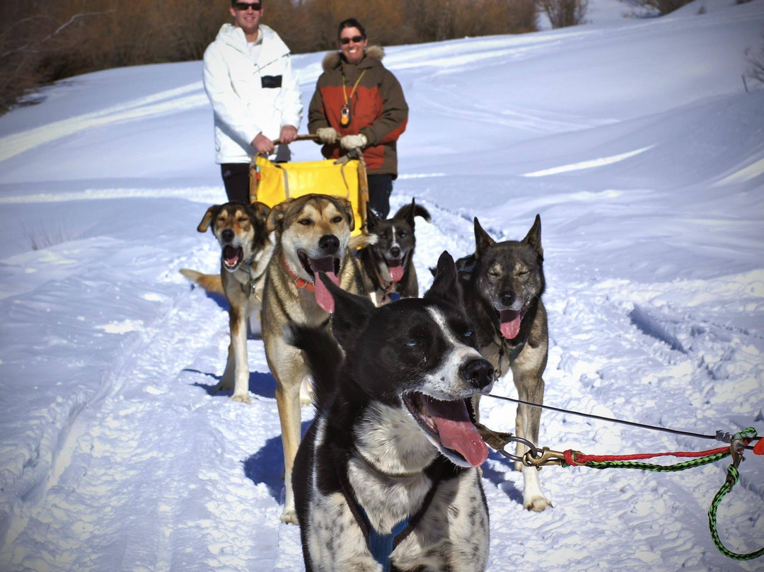 Durango Dog Ranch-杜兰戈必去景点