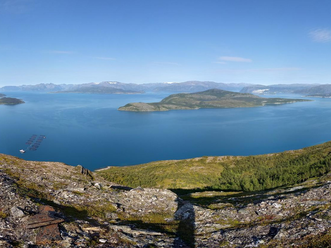 Olderdalen旅游攻略图片