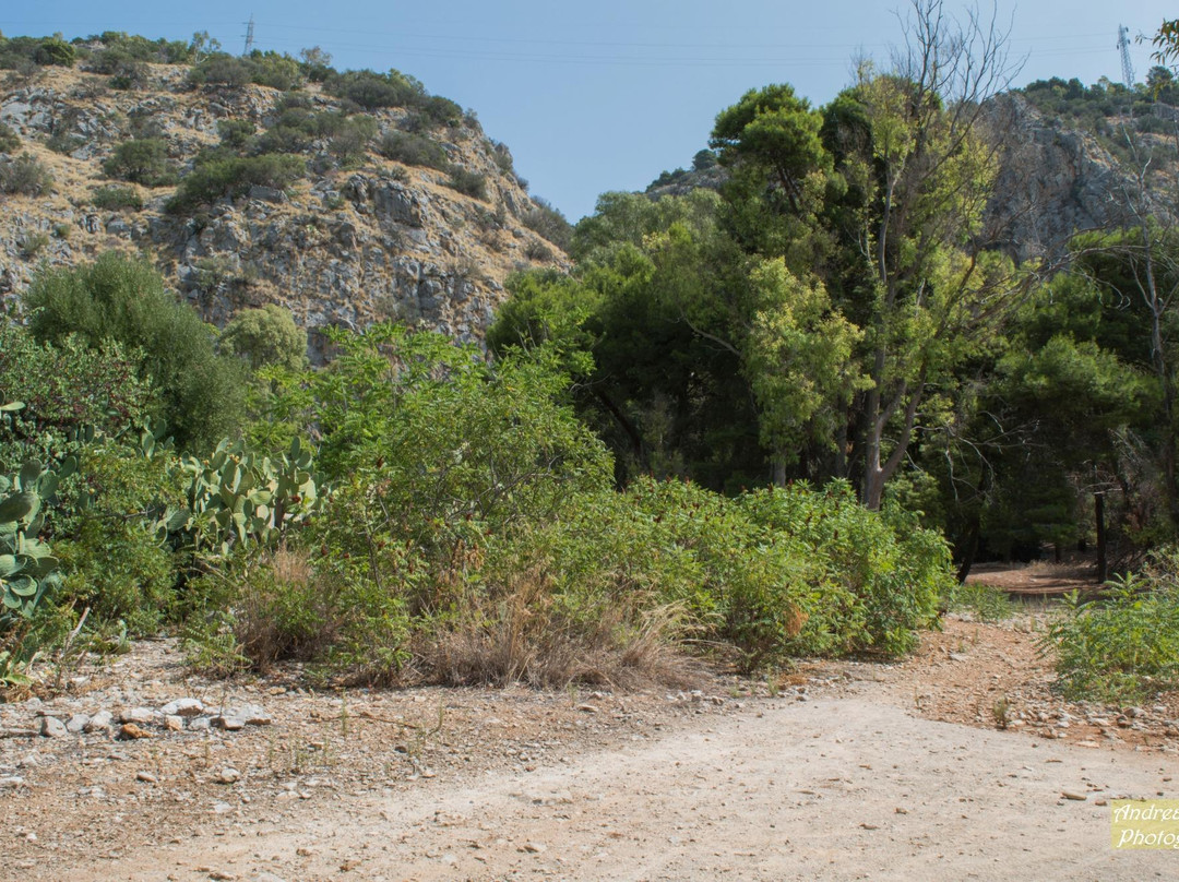 Parco della Favorita-巴勒莫必去景点