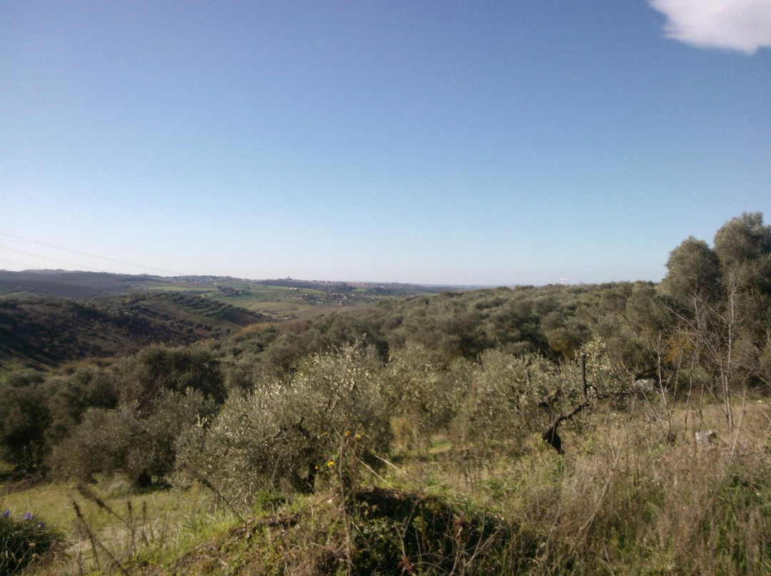 Riserva Naturale Macchia景点图片