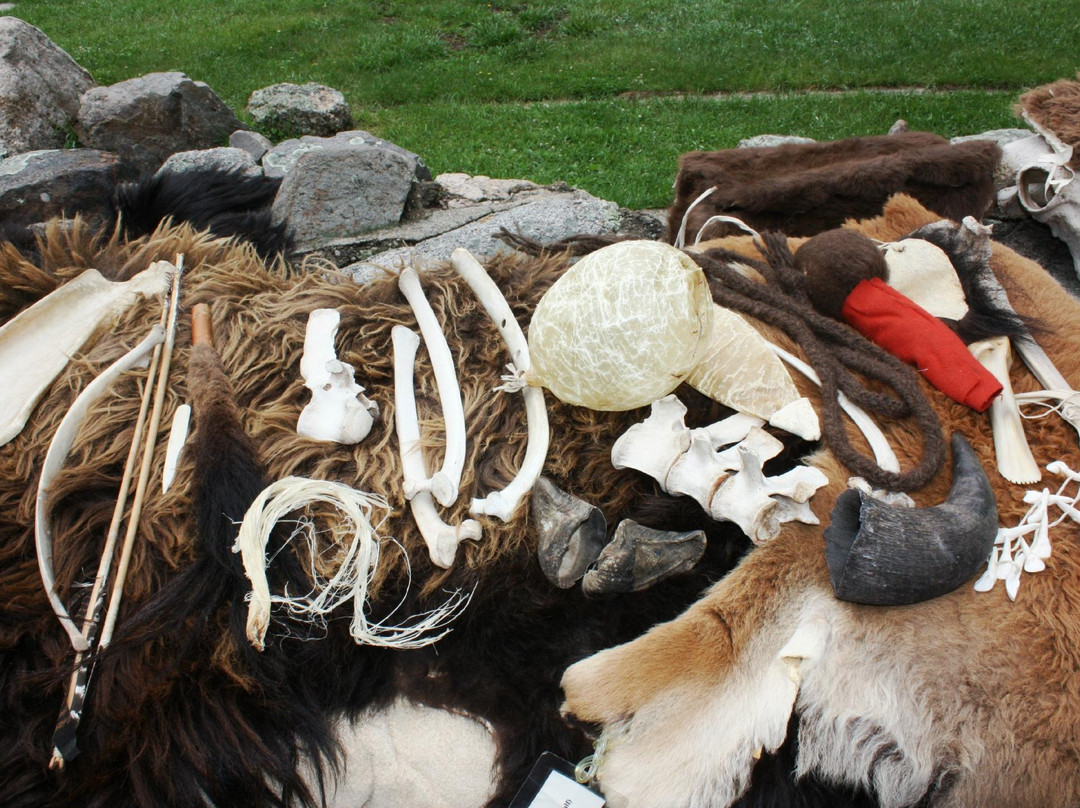 Peter Norbeck Outdoor Education Center-卡斯特必去景点