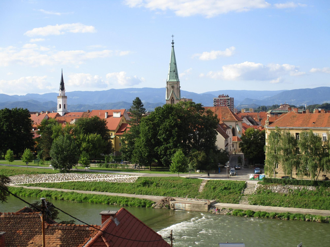 Celje Cathedral of Saint Daniel