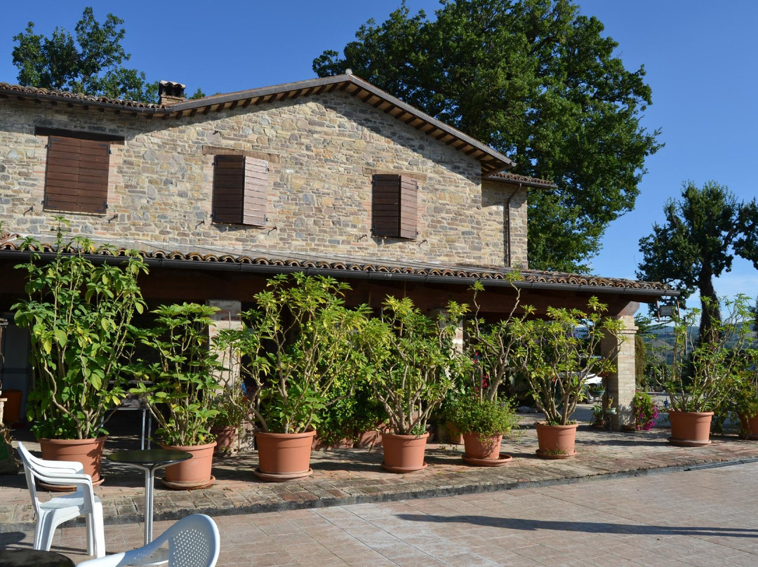 San Severino Marche酒店住宿-Casale il Cerqueto