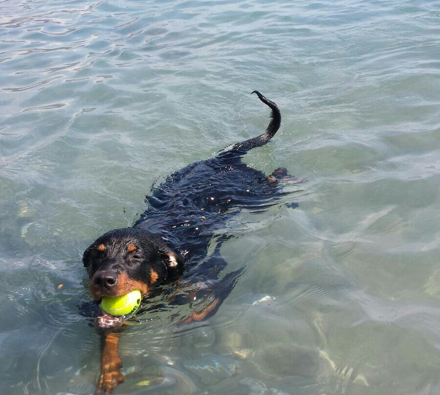 Bagni Capo Mele-Laigueglia必去景点