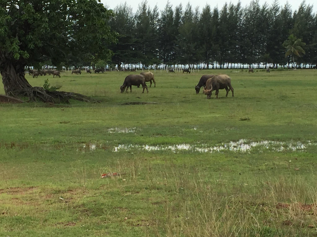 Laem Son Marine National Park-攀牙必去景点