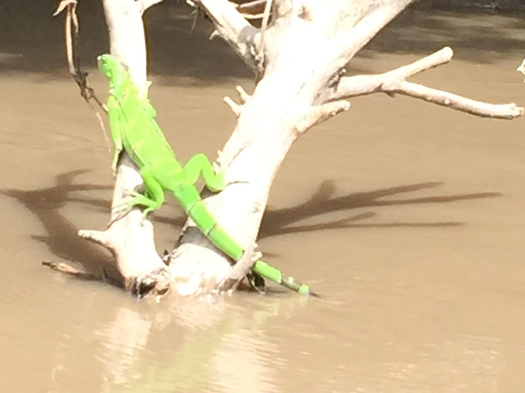Palo Verde National Park景点图片