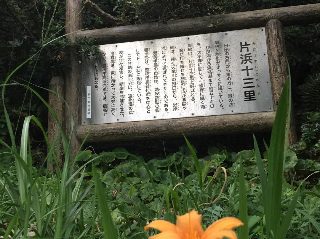 Memorial of Yashinomi-田原市必去景点