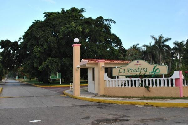 La Pradera主图