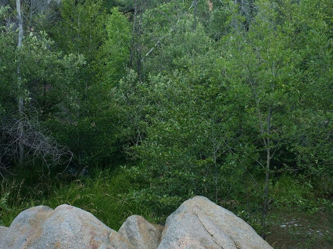 Water Wheel Falls-Payson必去景点