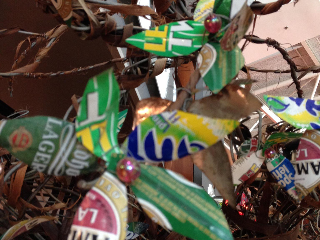 Chalan Africa Tours & Travel-开普敦中心区必去景点