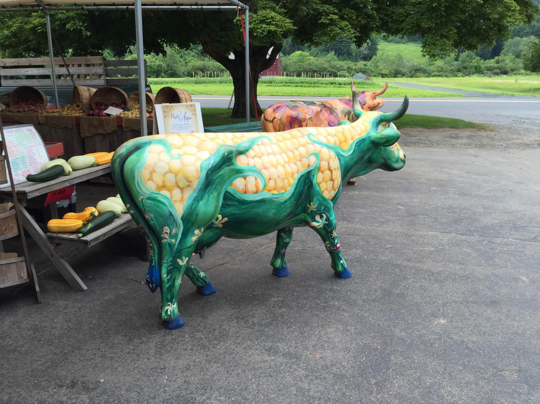 Rosedale Farms & Vineyards-锡姆斯伯里必去景点