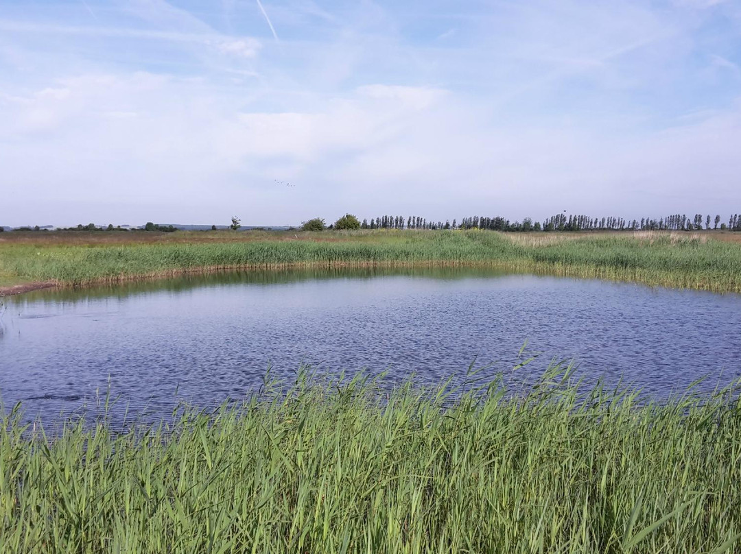 Skegness Golf Centre景点图片