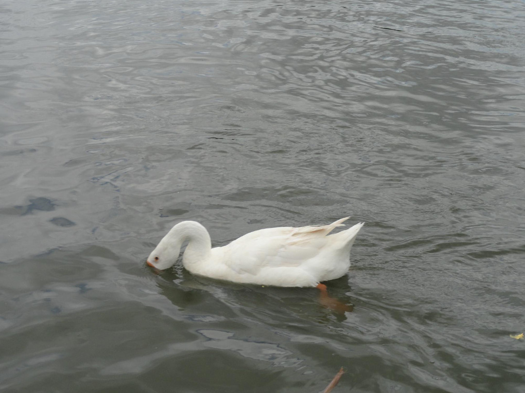 Parque Municipal Erivaldo Cerqueira-Feira de Santana必去景点
