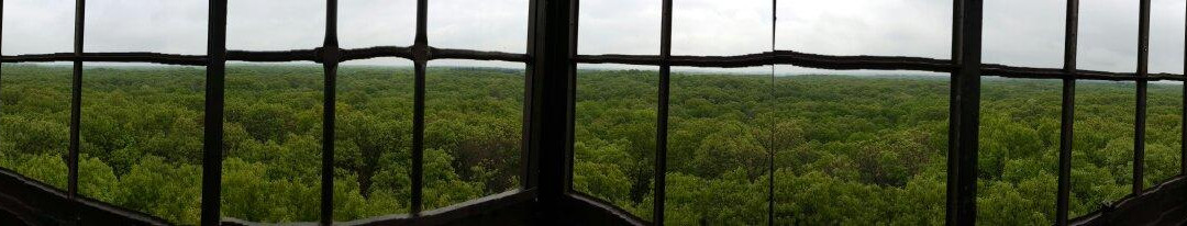 Tippecanoe River State Park景点图片