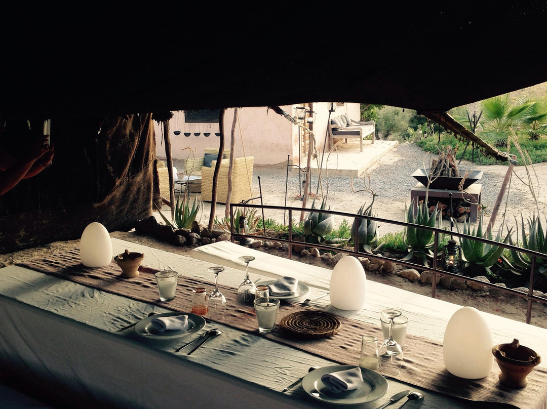 No Limit Tours - Day Tours-马拉喀什必去景点