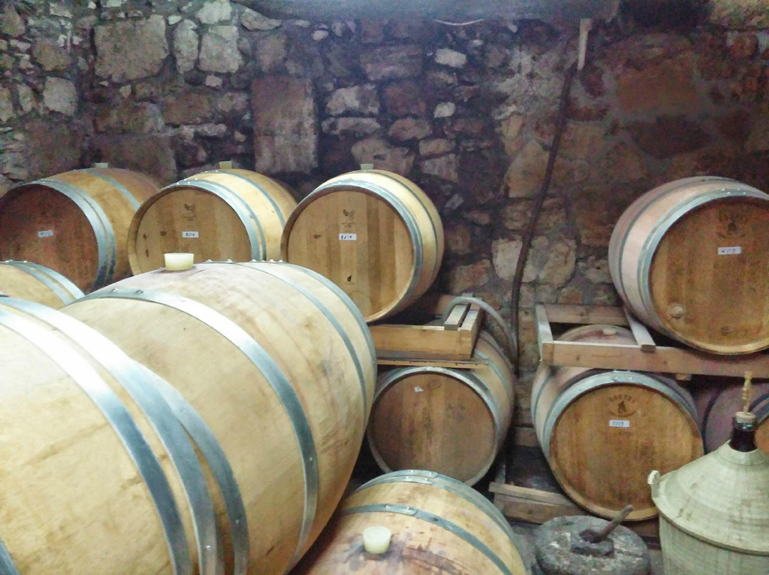 Jascala Winery景点图片