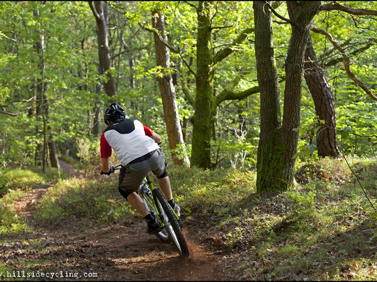 Hillside Cycling - Guided Mountainbike Tours-哥德堡必去景点