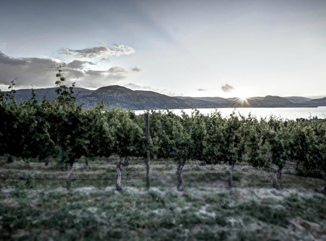 Lock & Worth Winery-彭蒂克顿必去景点