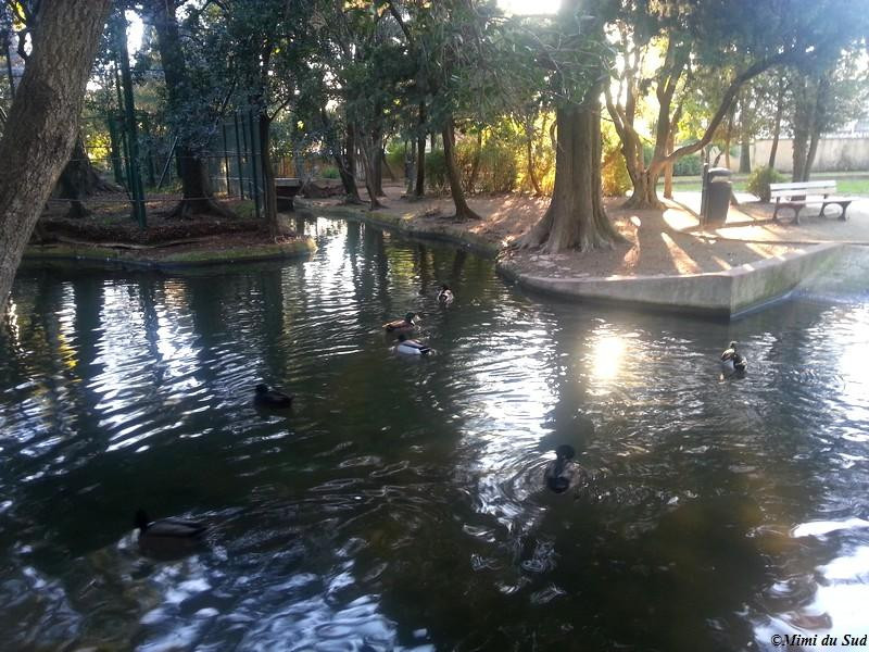Parc des Oiseaux景点图片