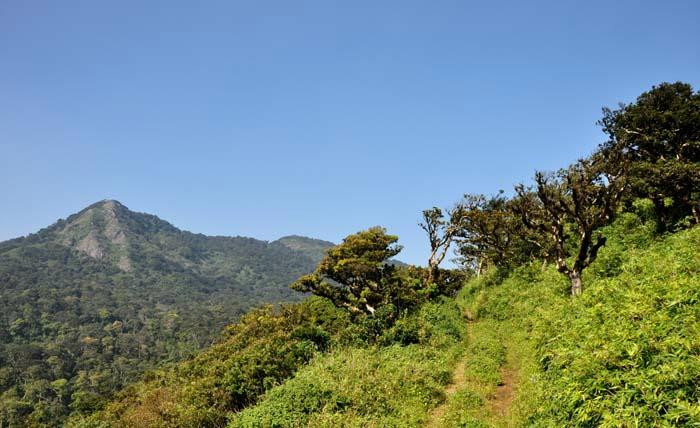 Munnar Safari Resort主图