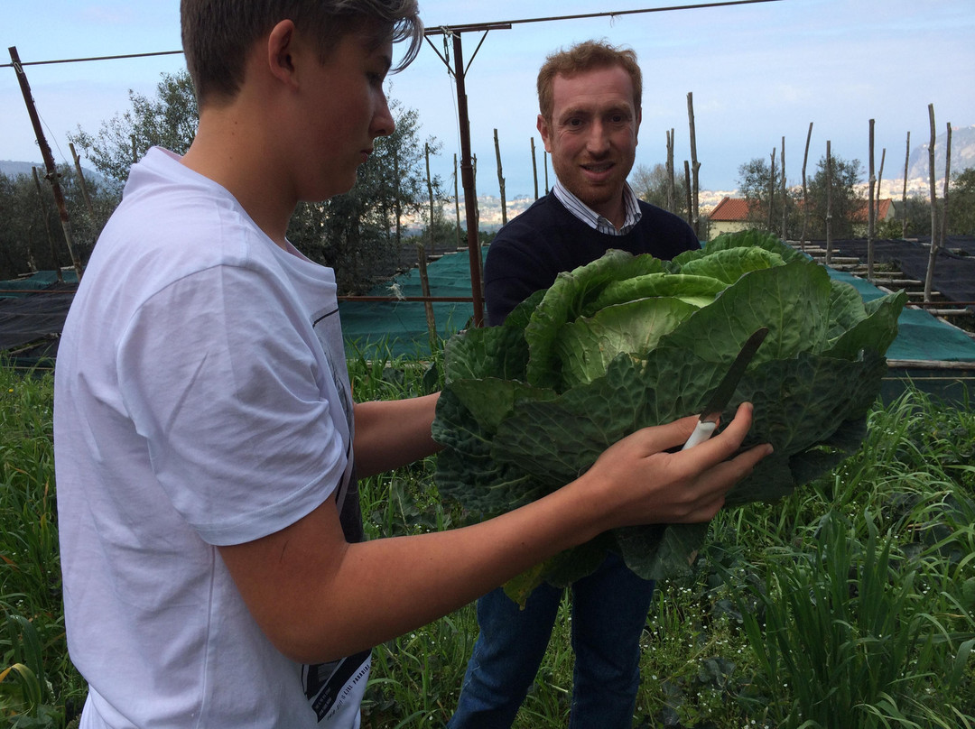 Piano di Sorrento旅游景点-Farm Experience- Agriturismo Antico Casale - Colli di San Pietro