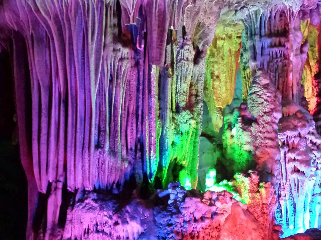 封开龙山景区-封开县必去景点