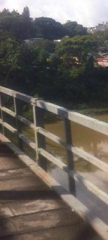 Ponte Aldo Pereira de Andrade-Blumenau必去景点