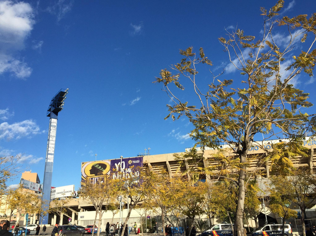 Estadio Jose Rico Perez景点图片