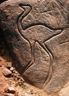 Rock Carvings Nkob Tazzarine-Tazzarine必去景点