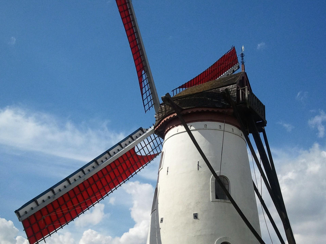 Hovaere Windmill景点图片
