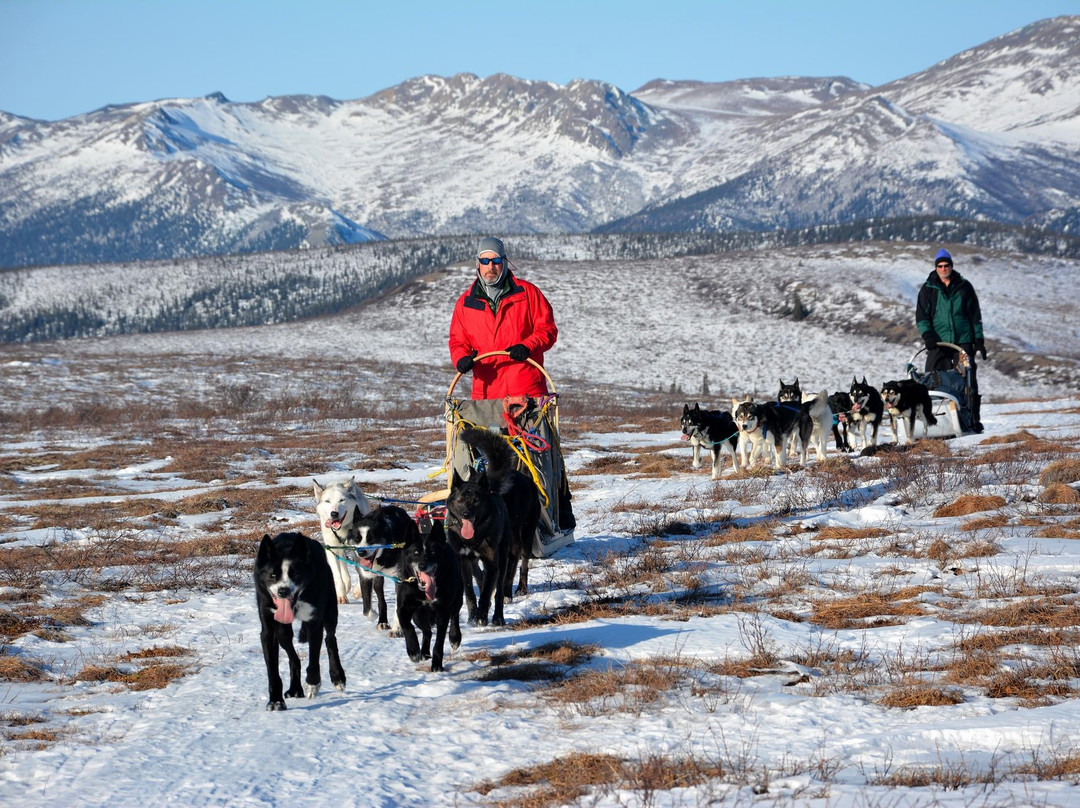 Dog Sledding Tours at EarthSong Lodge-希利必去景点