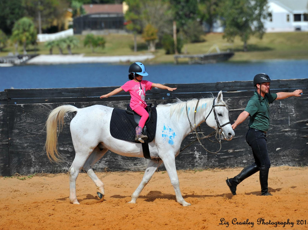 Al-Marah Arabian Horses-Clermont必去景点