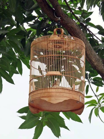 Taman Pasar Burung Depok-梭罗必去景点