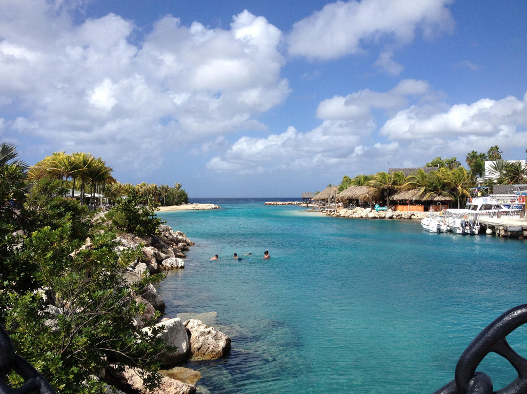 Curaçao Sea Aquarium-威廉斯塔德必去景点