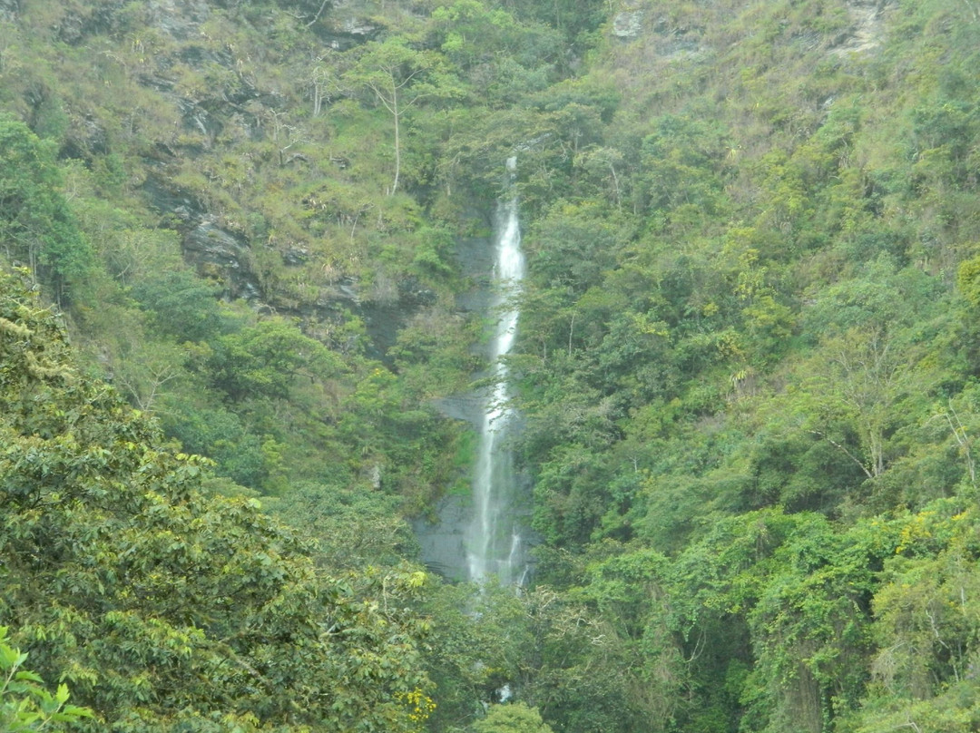 San Juan waterfalls-Coroico必去景点