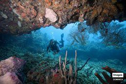 JC Ocean Adventures-Cabrits National Park必去景点