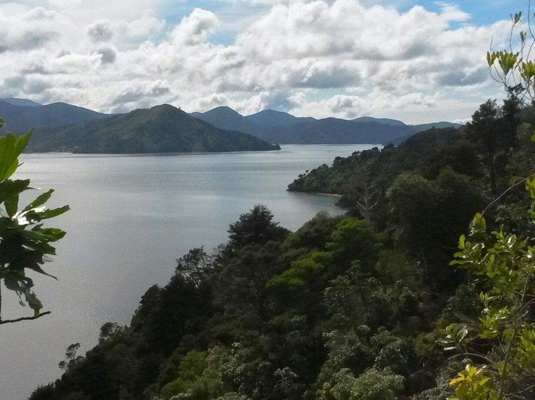 马尔堡峡湾景点图片