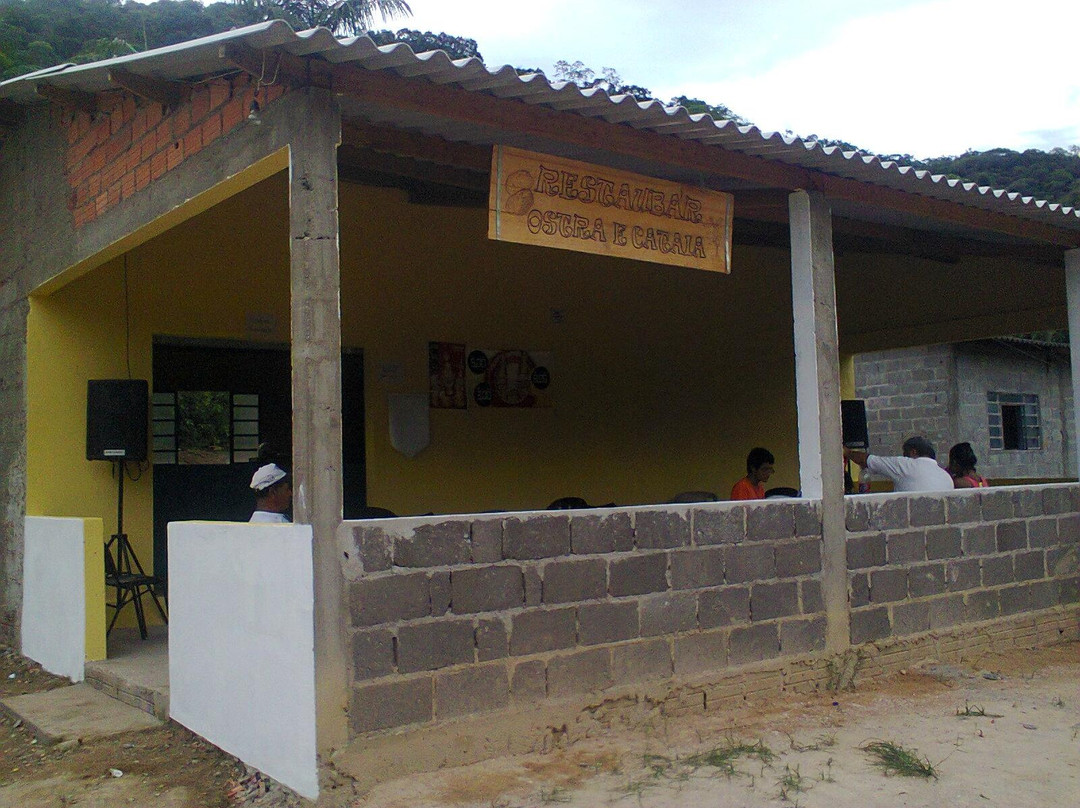 Reserva Extrativista Do Mandira-卡纳内亚必去景点